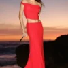 Arna Mesh Maxi Skirt – Ruby Arna Mesh Maxi Skirt – Ruby