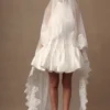 Paulette Lace Trim Veil – White