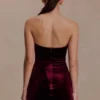 Paulina Velvet Strapless Mini Dress – Wine