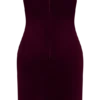 Paulina Velvet Strapless Mini Dress – Wine