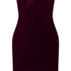 Paulina Velvet Strapless Mini Dress – Wine