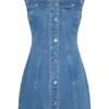Penn Button Front Denim Mini Dress – Summer Blue